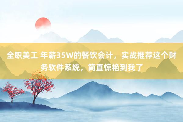 全职美工 年薪35W的餐饮会计，实战推荐这个财务软件系统，简直惊艳到我了